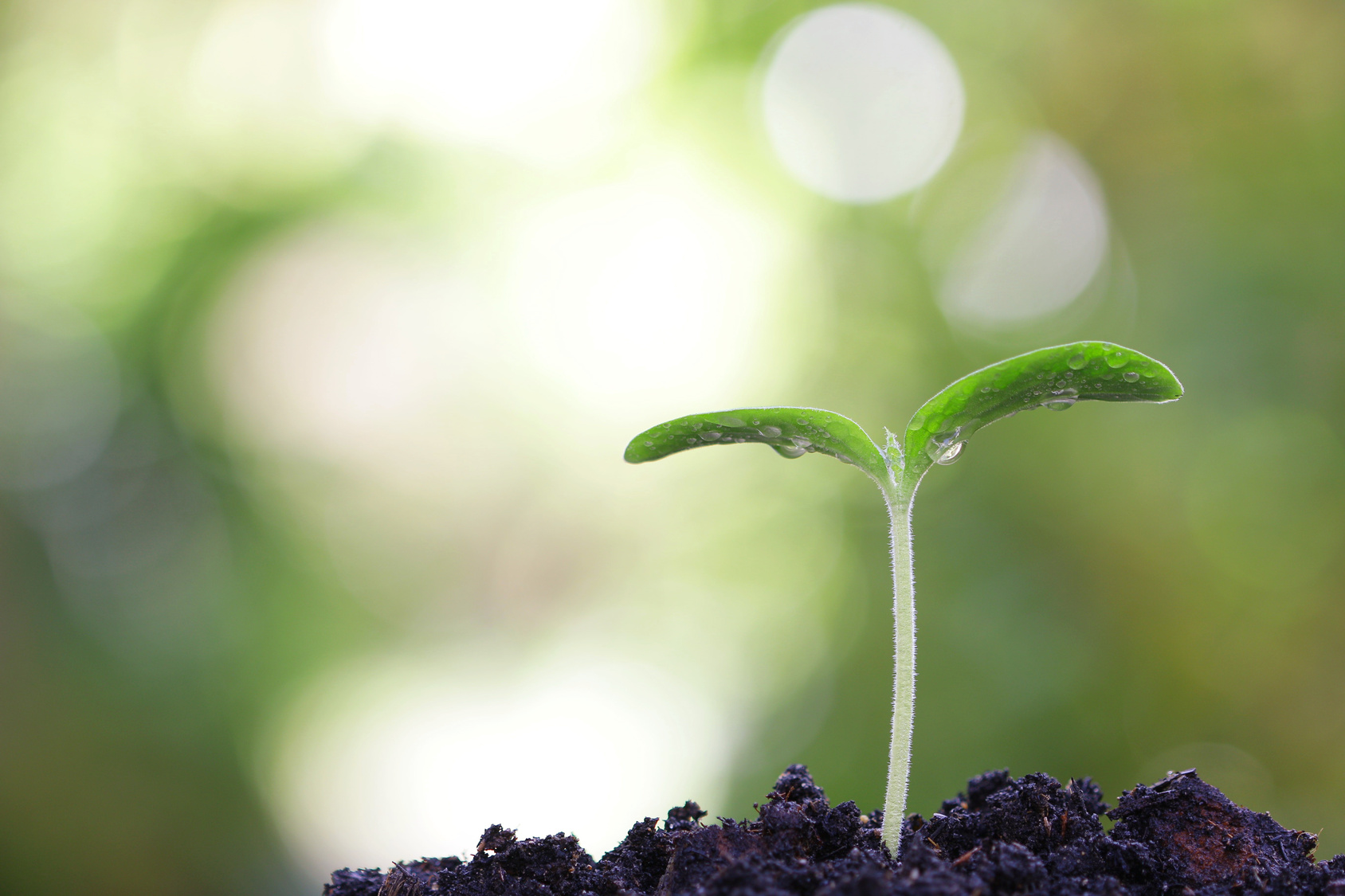 "Compost di primavera" al via il 27 aprile